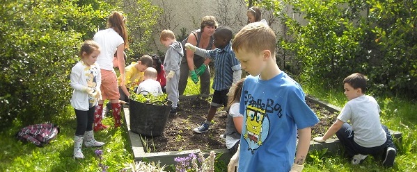 Newtown Court Community Gardens