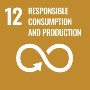 Responsible consumption and production 